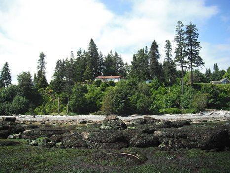 Edgewater Motel Campbell River Kültér fotó