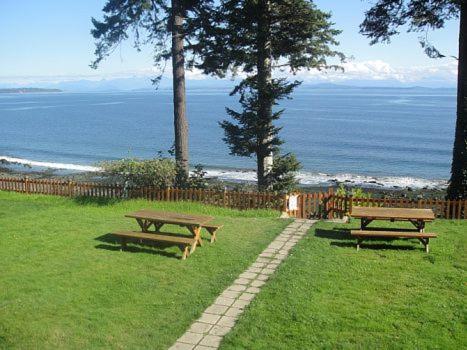 Edgewater Motel Campbell River Kültér fotó
