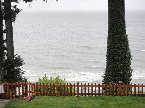 Edgewater Motel Campbell River Kültér fotó