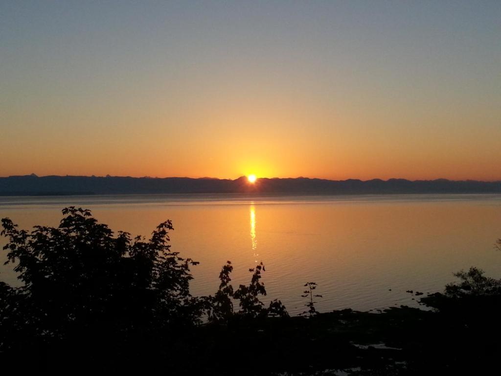 Edgewater Motel Campbell River Kültér fotó