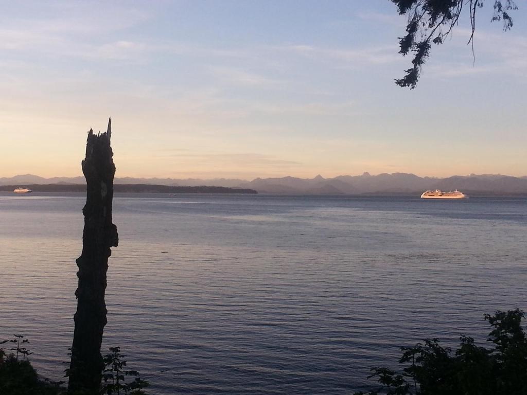 Edgewater Motel Campbell River Kültér fotó
